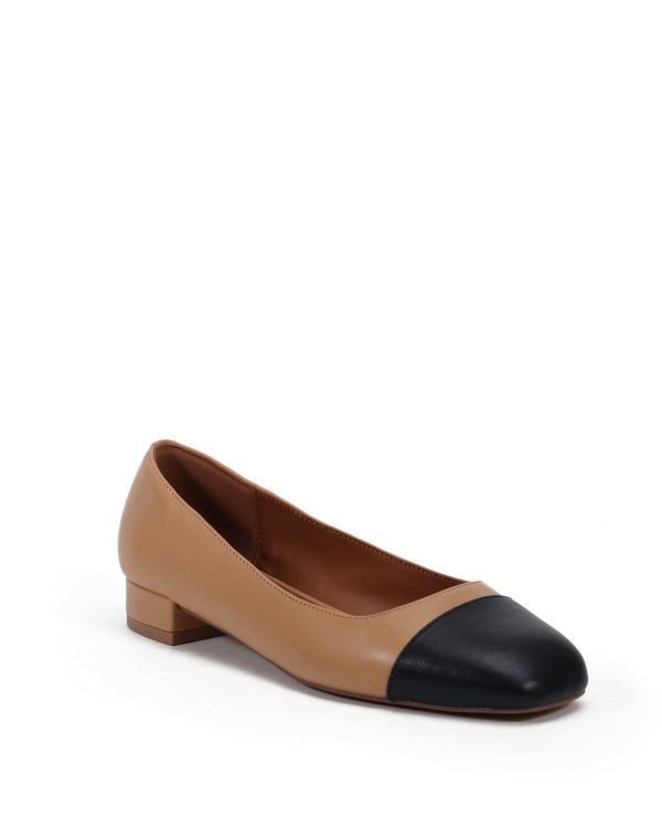 Daisy Flat