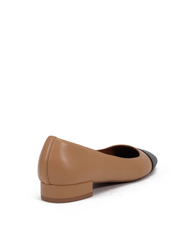 Daisy Flat - Image 3