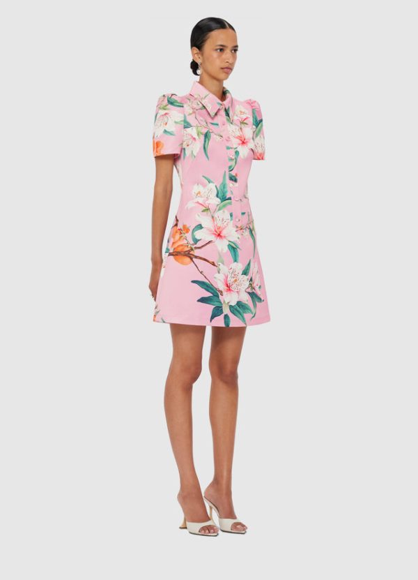 Brooke Mini Dress - Pink - Image 3