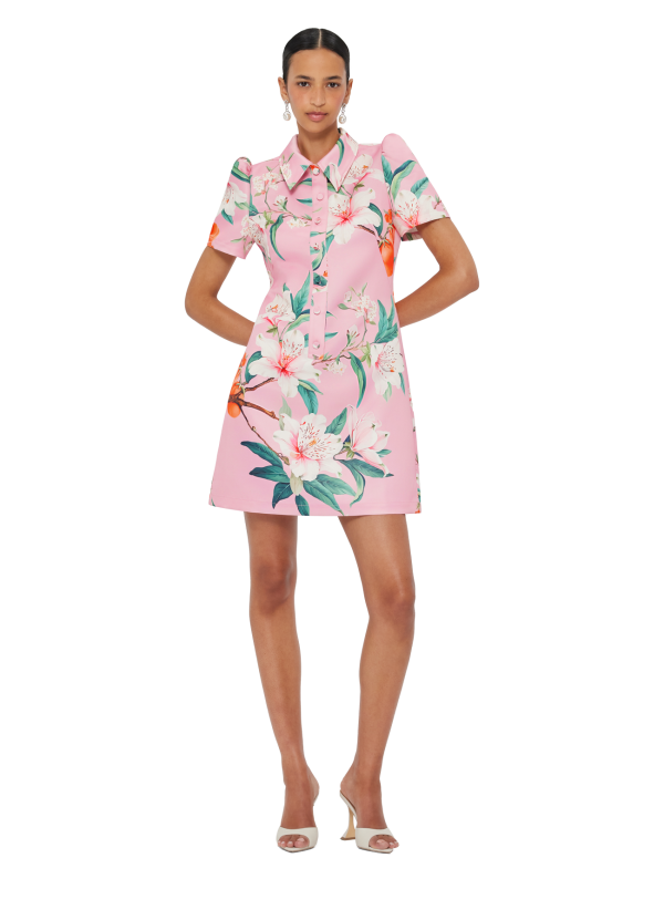 Brooke Mini Dress - Pink - Image 5