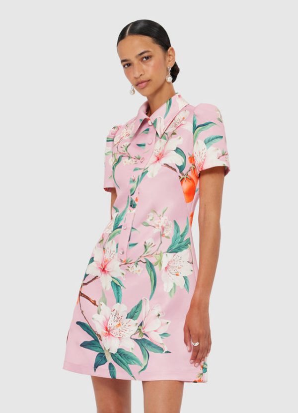 Brooke Mini Dress - Pink