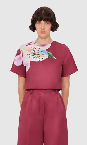 Indie Sleeve Top