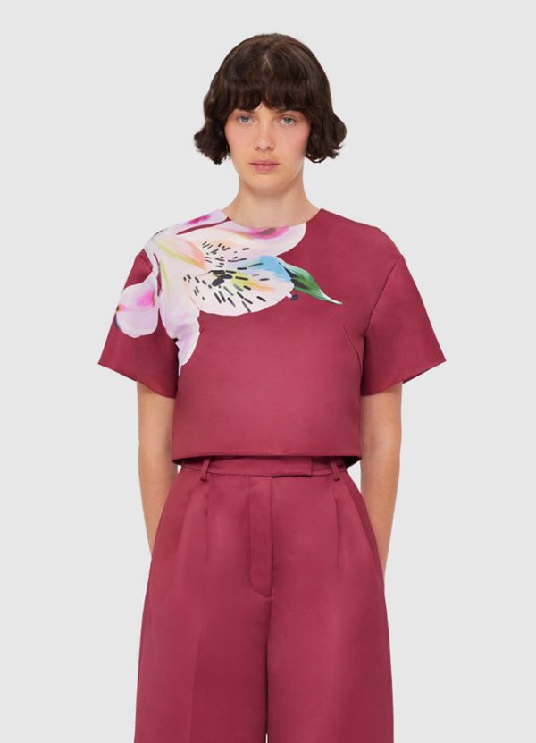 Indie Sleeve Top