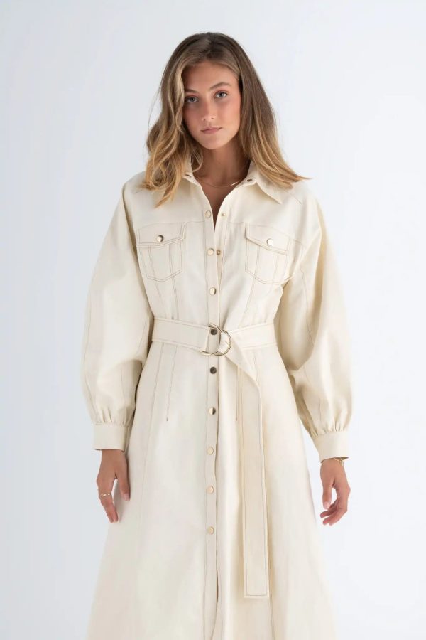 Abundance Shirt Midi Dress - Image 4