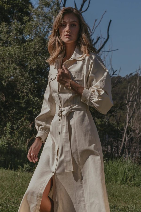Abundance Shirt Midi Dress - Image 2