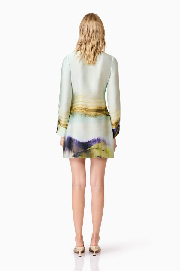 Willow Satin Mini Dress - Image 4